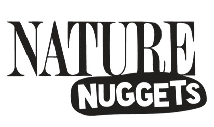 Logo - Nature Nuggets