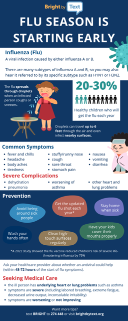 What is the flu Infographic